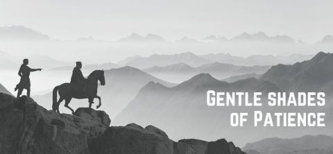 Gentle Shades of Patience